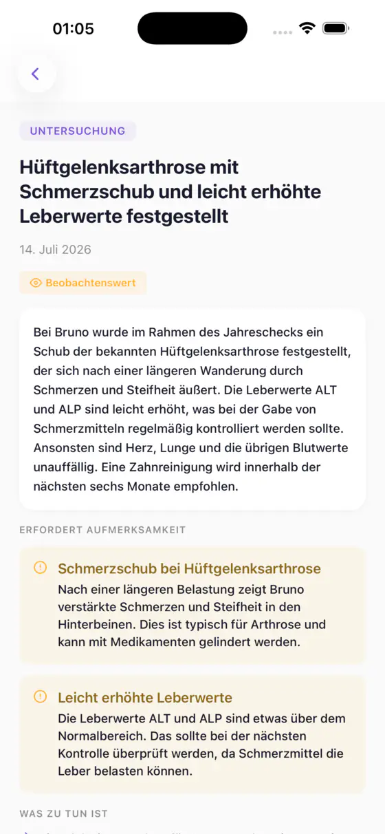 Berichtsansicht in Kovan mit verständlicher Erklärung eines Tierarztbesuchs, auffälligen Befunden und nächsten Schritten