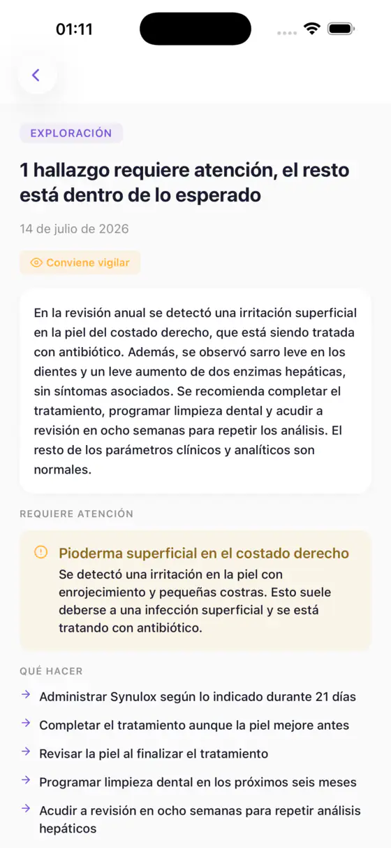 Pantalla de Kovan que explica una visita veterinaria con palabras sencillas, con los hallazgos que requieren atención y los pasos a seguir