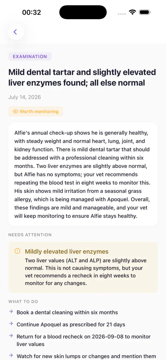 Kovan record screen explaining a vet visit in plain English, with the findings that need attention and what to do next
